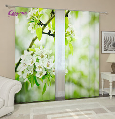 Фотошторы Сирень Adelle 290x260