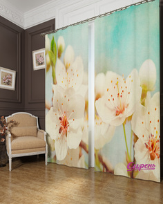 Фотошторы Сирень Doreen 290x260