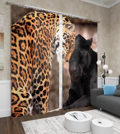 Фотошторы Сирень Lloyd 290x260