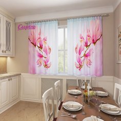 Фотошторы Сирень Vilfanto 290x160