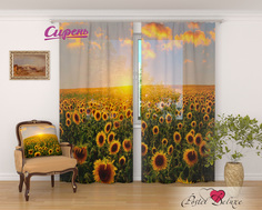 Фототюль Сирень Shebah 290x260