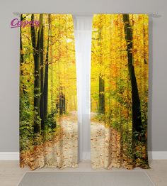 Фотошторы Сирень Loving 290x260