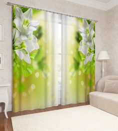 Фотошторы Сирень Buck 290x260