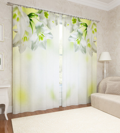 Фотошторы Сирень Julianne 290x260