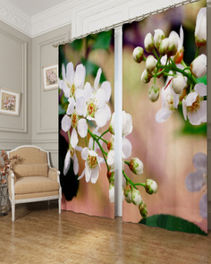 Фотошторы Сирень Curitiba 290x260