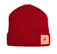 Шапка Kama K30 Red (Б/Р:one Size)