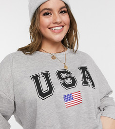 Серый меланжевый свитшот с принтом "USA" ASOS DESIGN Curve
