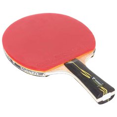 Ракетка для настольного тенниса Torneo Champion