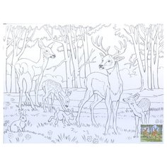 Сонет Картина по контурам "Олени" 30х40 см (DK13701-L)
