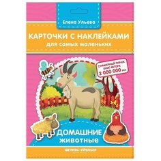 Набор карточек Феникс-Премьер Домашние животные