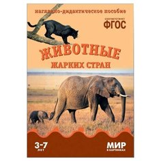 Набор карточек Мозаика-Синтез ФГОС Мир в картинках. Животные жарких стран 29.5x21.5 см 8 шт.