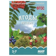 Набор карточек Мозаика-Синтез ФГОС Мир в картинках. Ягоды лесные. 29.5x20.5 см 8 шт.
