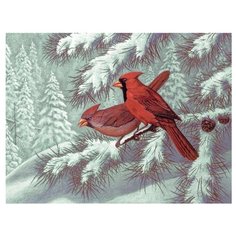 Royal & Langnickel Картина по номерам "Кардиналы" 28,5x39 см (PAL32)