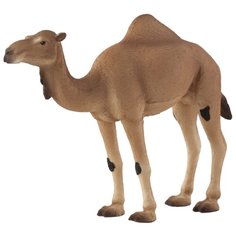 Фигурка Mojo Wildlife Одногорбый верблюд 387113