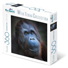 Пазл Origami Wild Terra Collection Огненная обезьяна (01891), 360 дет.