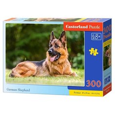 Пазл Castorland German Shepherd (B-030200), 300 дет.