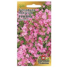 Семена Гавриш Удачные семена Гипсофила ползучая Румяна 0,1 г, 10 уп.