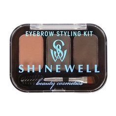 SHINEWELL Набор для моделирования бровей Brow Secret Eyebrow Styling Kit 01