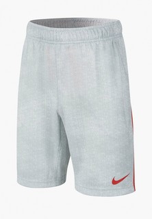 Шорты спортивные Nike