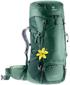 Рюкзак Deuter 2020-21 Futura Vario 45+10 Sl Seagreen/Forest (Б/Р)