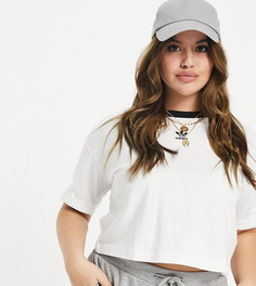 Белая укороченная футболка с логотипом-трилистником adidas Originals Plus-Белый