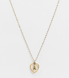 Позолоченное ожерелье из стерлингового серебра с подвеской в виде медвежонка Regal Rose Mabel-Золотистый