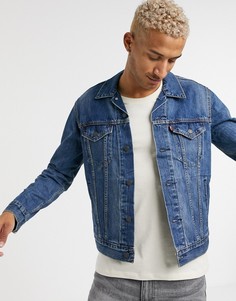 Куртка Levis-Синий Levis®