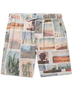 Боксеры Desmond & Dempsey