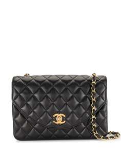 Chanel Pre-Owned стеганая сумка на плечо Classic Flap 2006-го года