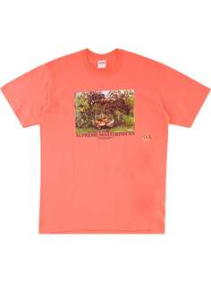 Supreme футболка с принтом Masterpieces