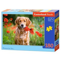 Пазл Castorland Flowers for You... (B-018284), 180 дет.