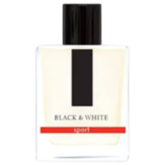 Туалетная вода Dilis Parfum Black&White, 100 мл