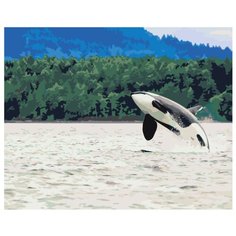 Живопись по номерам Картина по номерам Z68501 40x50 см