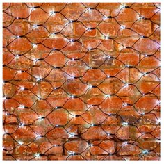 Гирлянда NEON-NIGHT Сеть, 160 LED, 100х150 см, 160 ламп, белый/черный провод