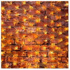 Гирлянда NEON-NIGHT Сеть, 160 LED, 100х150 см, 160 ламп, теплый белый/черный провод