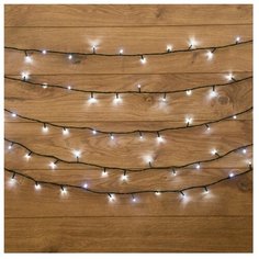 Гирлянда NEON-NIGHT Твинкл Лайт, 25 LED, 400 см, 25 ламп, белый/зеленый провод