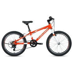 Подростковый горный (MTB) велосипед FORWARD Rise 20 2.0 (2020) оранжевый/белый 10.5" (требует финальной сборки)