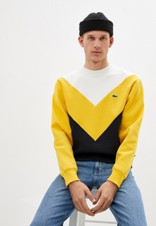 Свитшот Lacoste
