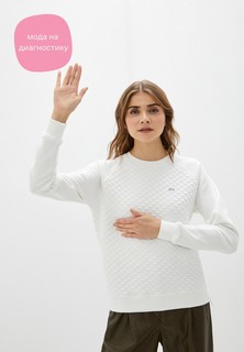 Свитшот Lacoste