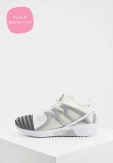 Кроссовки Plein Sport
