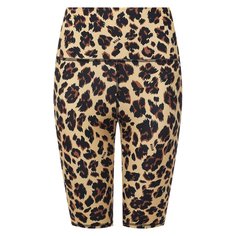 Шорты MSGM