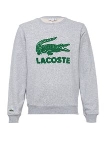 Серый свитшот с фактурным принтом Lacoste