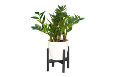 Подставка для комнатных растений Oxalis Hoff