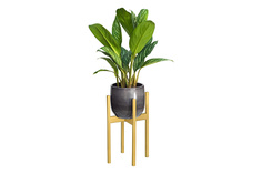 Подставка для комнатных растений Oxalis 40 Hoff