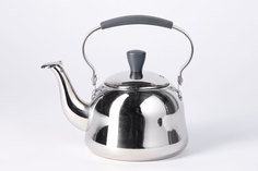 Чайник Rooibos Fissman