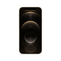 Смартфон Apple iPhone 12 Pro 128GB Gold (MGMM3RU/A)
