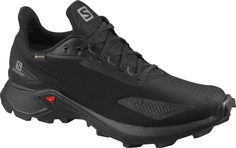 Беговые Кроссовки Для Xc Salomon Alphacross Blast Gtx Black/Black/Black (Uk:12)