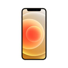 Смартфон Apple iPhone 12 mini 256GB White (MGEA3RU/A)