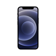 Смартфон Apple iPhone 12 mini 256GB Black (MGE93RU/A)
