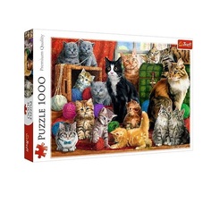 Пазлы Кошачья встреча, 1000 деталей Trefl
